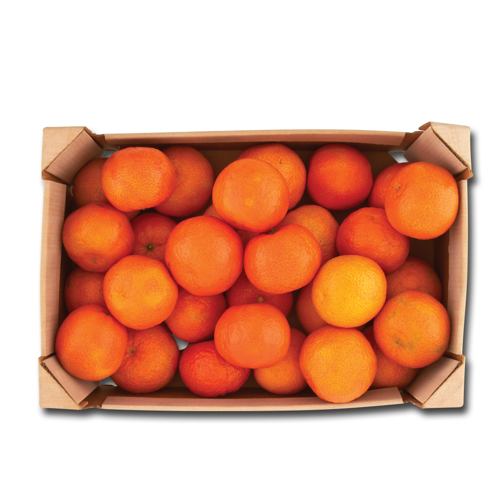 Centra Easy Peeler Presentation Box 2.3kg Centra