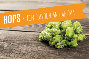 Hops - For Flavour & Aroma