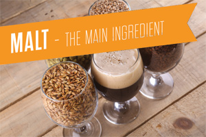 Malt - The Main Ingredient
