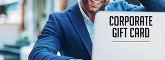 Centra Corporate 546x200 pixels 3.1 002 Centra Corporate 546x200 pixels 3.1 002
