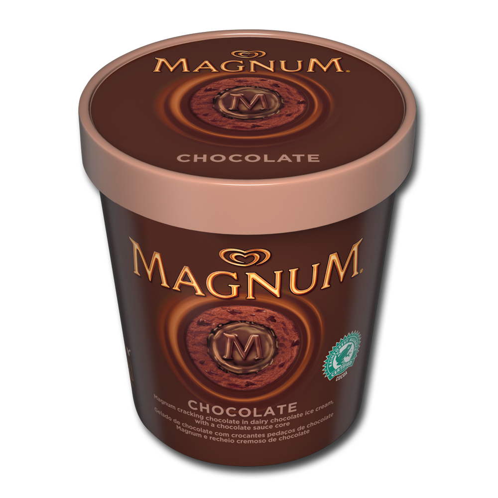 Magnum Chocolate & Chocolate Tub 450ml - Centra