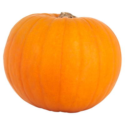 CENTRA LARGE PUMPKIN 1PCE