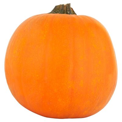 Centra Pumpkin Medium Bin 1pce