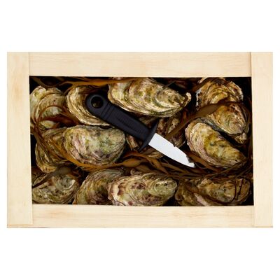 Oyster Gift Box 1kg