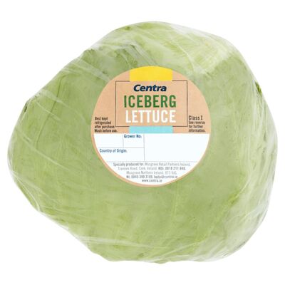Centra Iceberg Lettuce 1pce