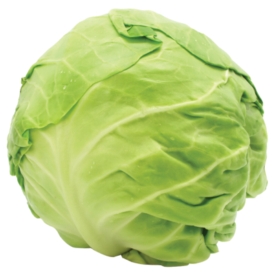 Centra Round Cabbage 1pce