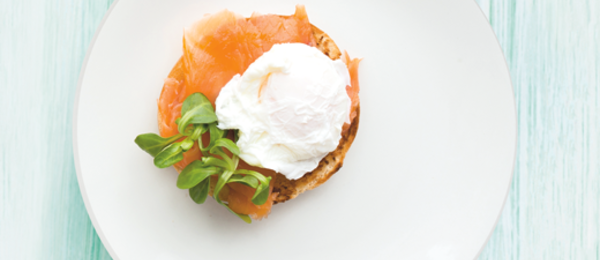 Poached salmon520x400