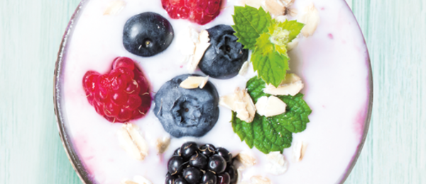 Yogurt berry520x400