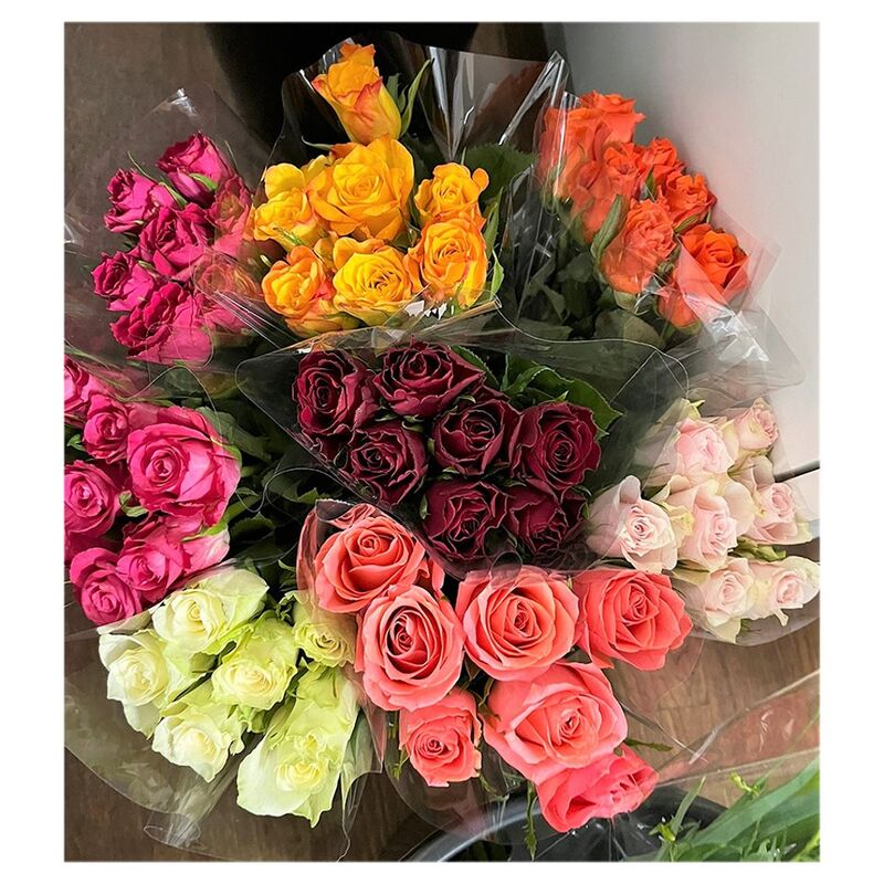 Mixed Roses