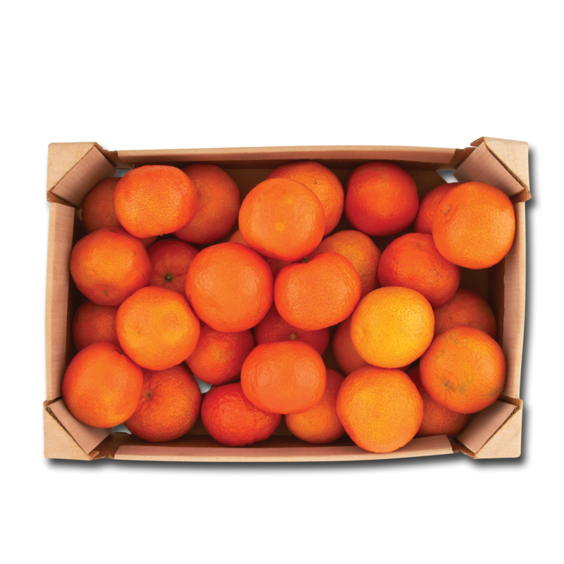 CT easyPeelers CT easyPeelers