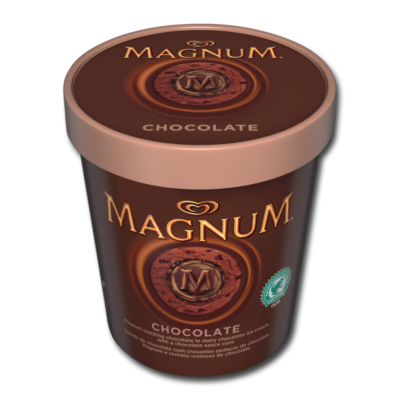 Magnum Chocolate & Chocolate Tub 450ml - Centra