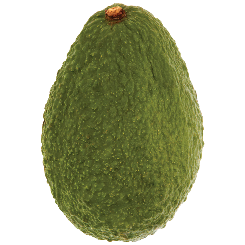 Centra loose avocado