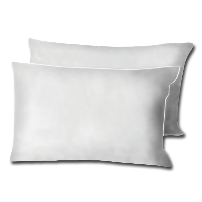 CT pillowsTwinPack
