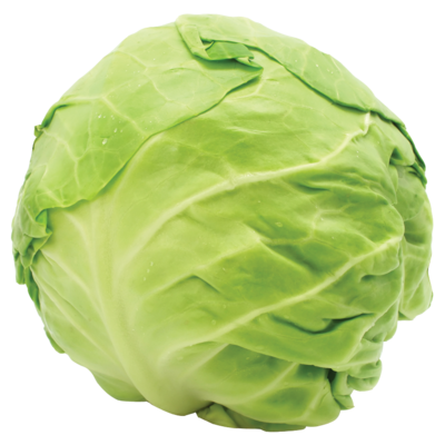 CENTRA ROUND CABBAGE 1PCE