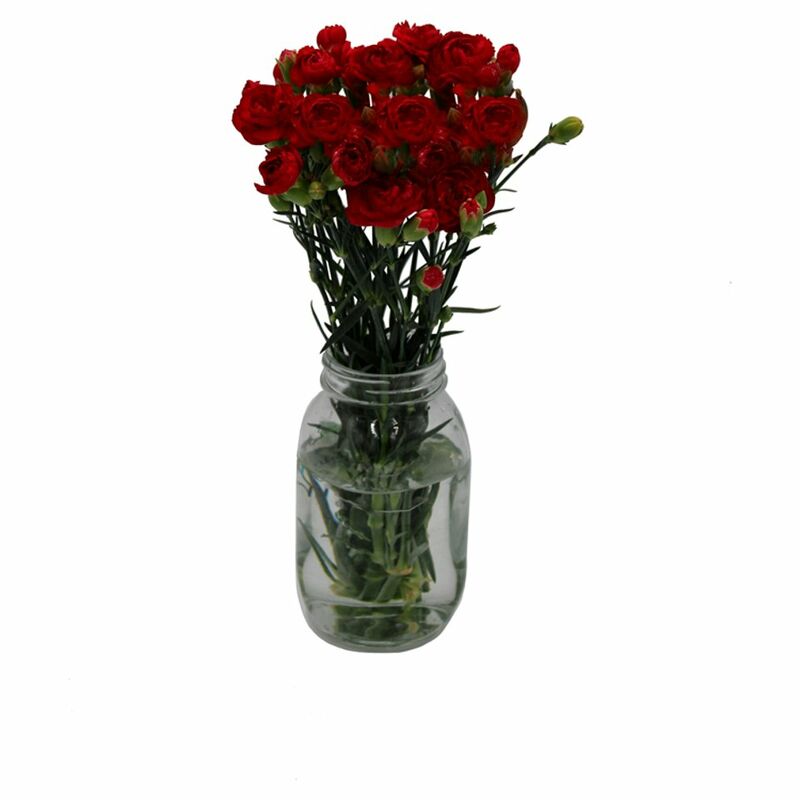 SuperValu Carnation Bouquet of the Week